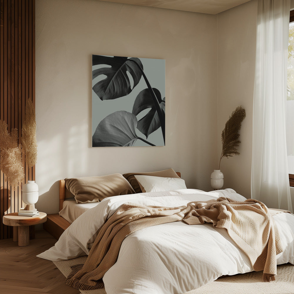 Monstera Teal 07 | Leinwand