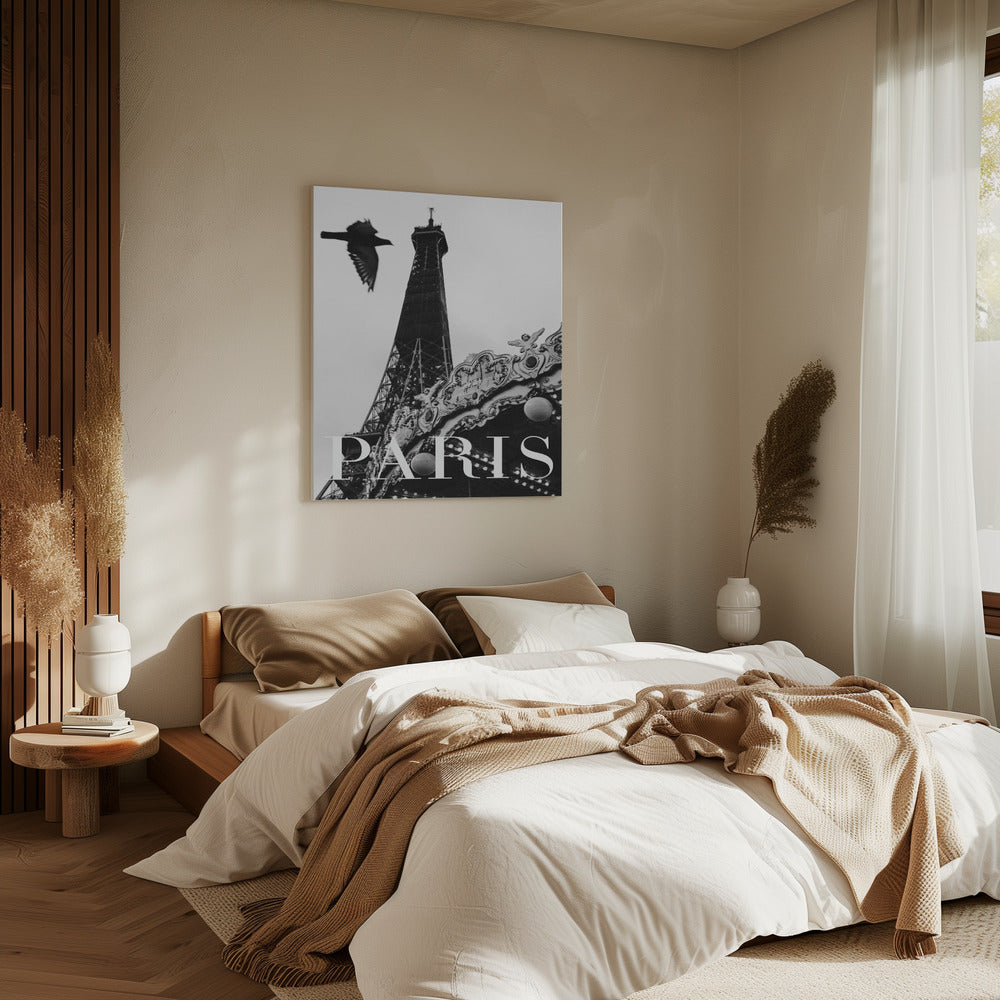 Paris Dove | Canvas