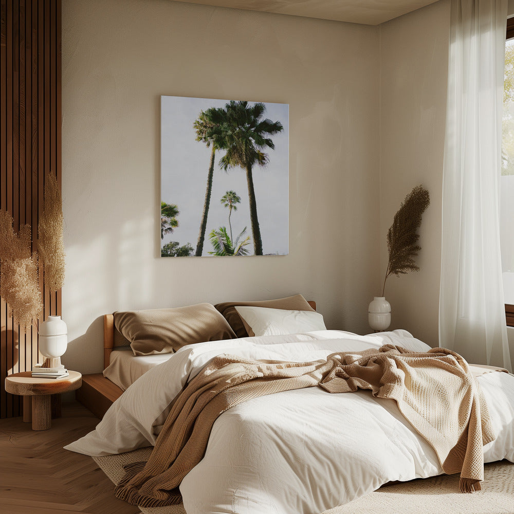 Finde mich unter der Palme | Leinwand