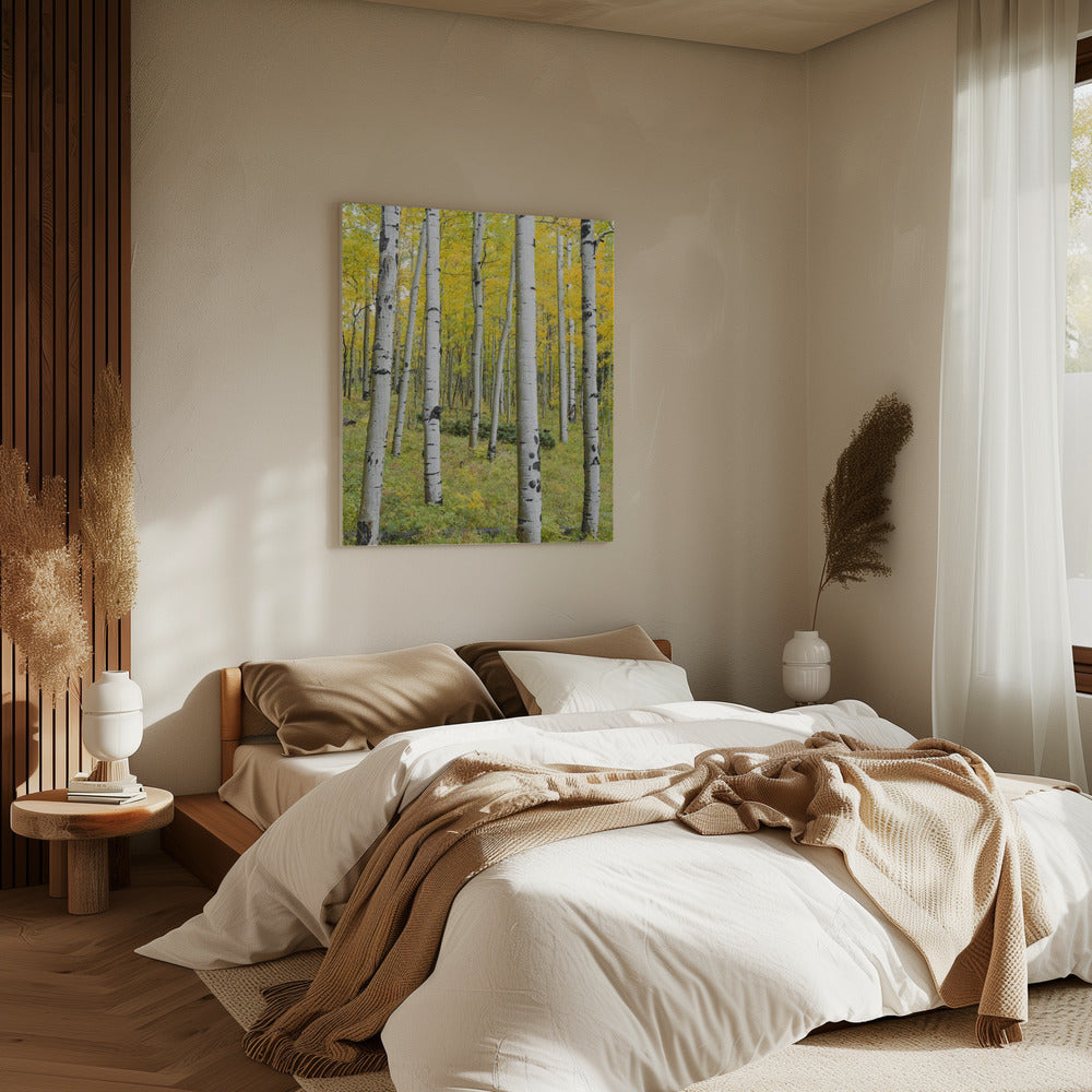 Gelbe Birken vertikal | Leinwand