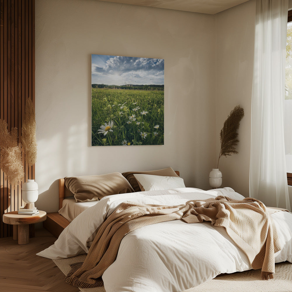 Blühende Wiese | Leinwand