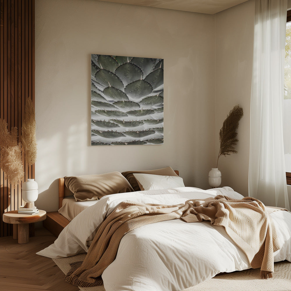Spirale Sukkulente | Leinwand