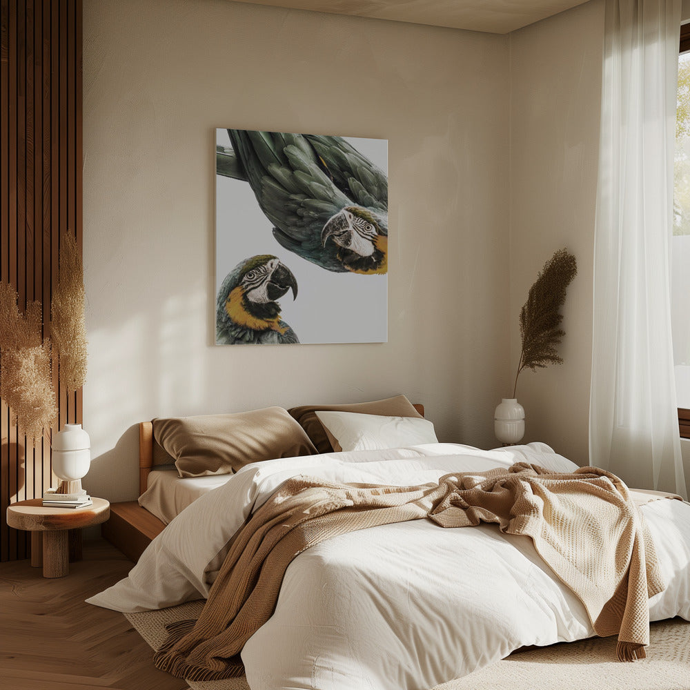 Lebendiges Papageien-Duo | Leinwand