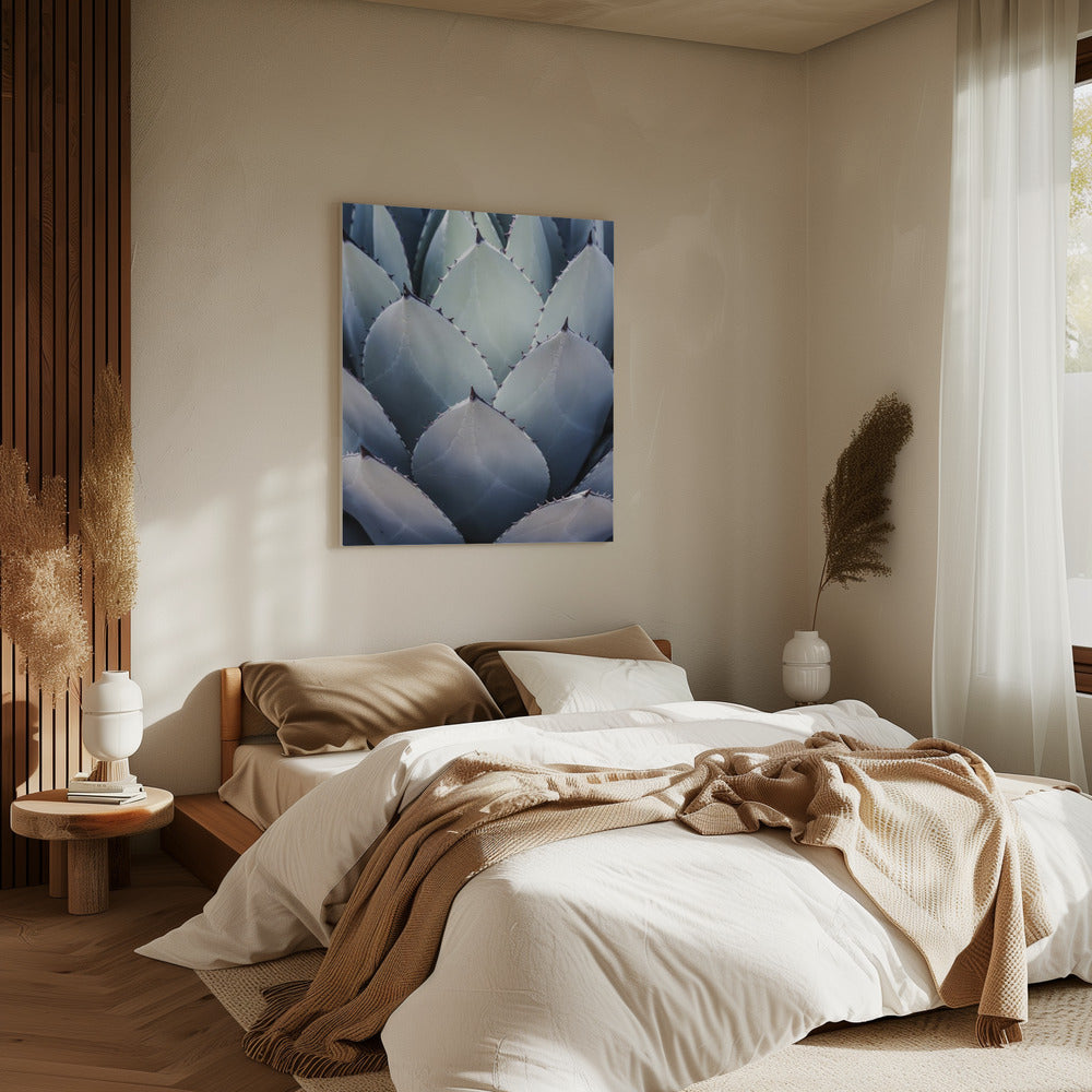 Agave Geometry | Canvas