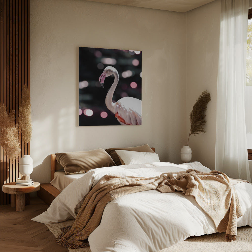 Flamingo Eleganz | Leinwand