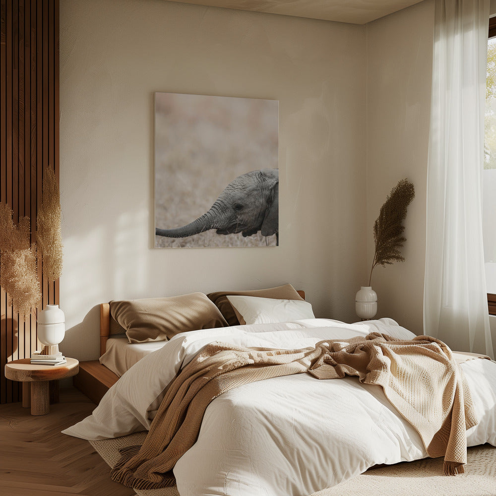 Sanfter Blick des Riesen | Leinwand