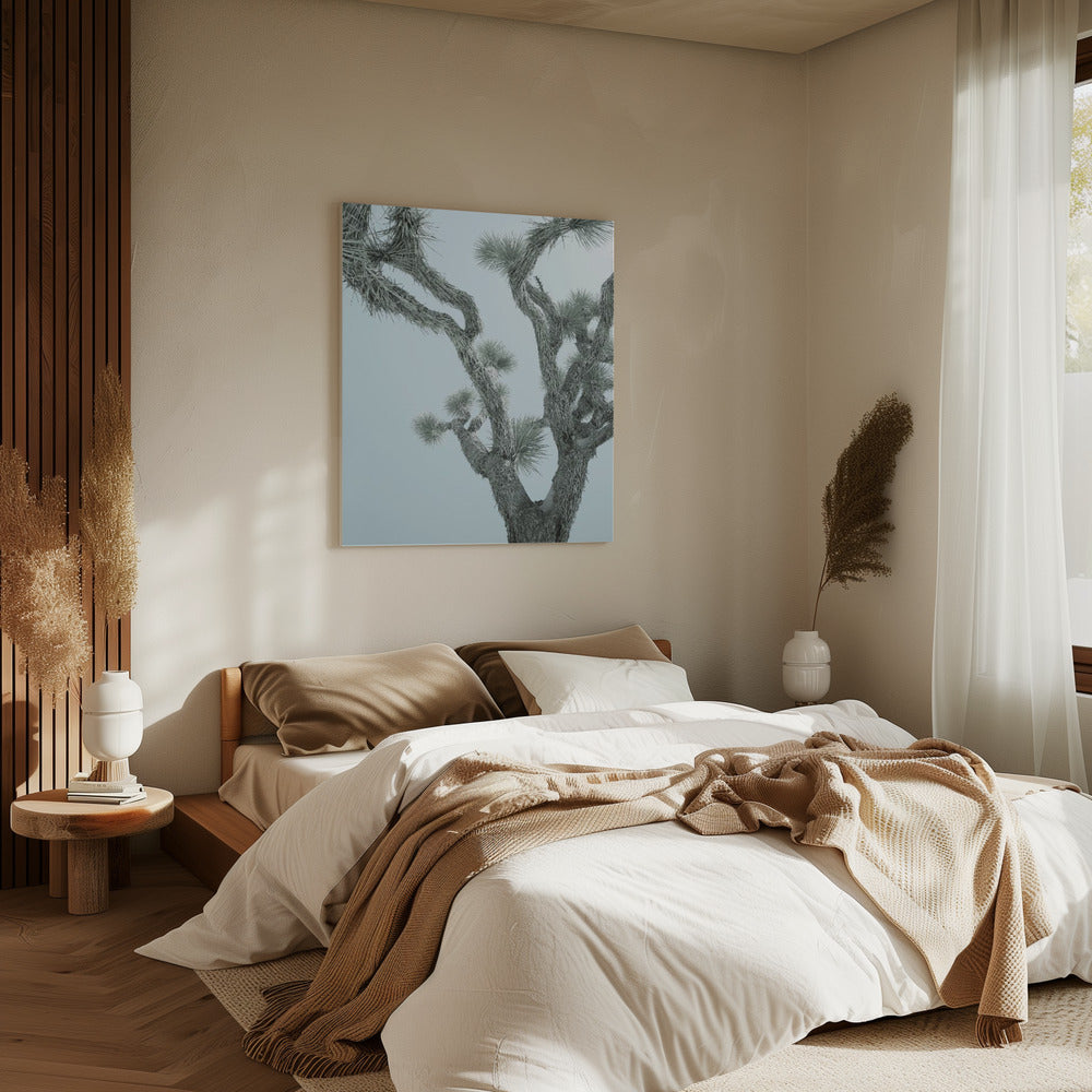 Wüsteneleganz | Leinwand