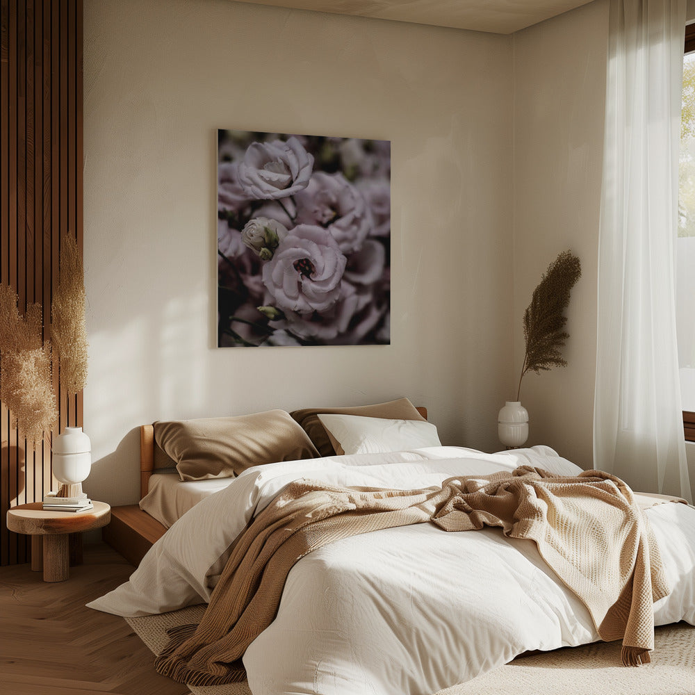 Zarte Schönheit der rosa Lisianthusblüte | Leinwand