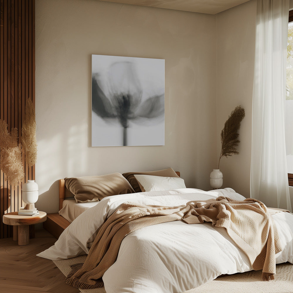 Mono Tulpe | Leinwand