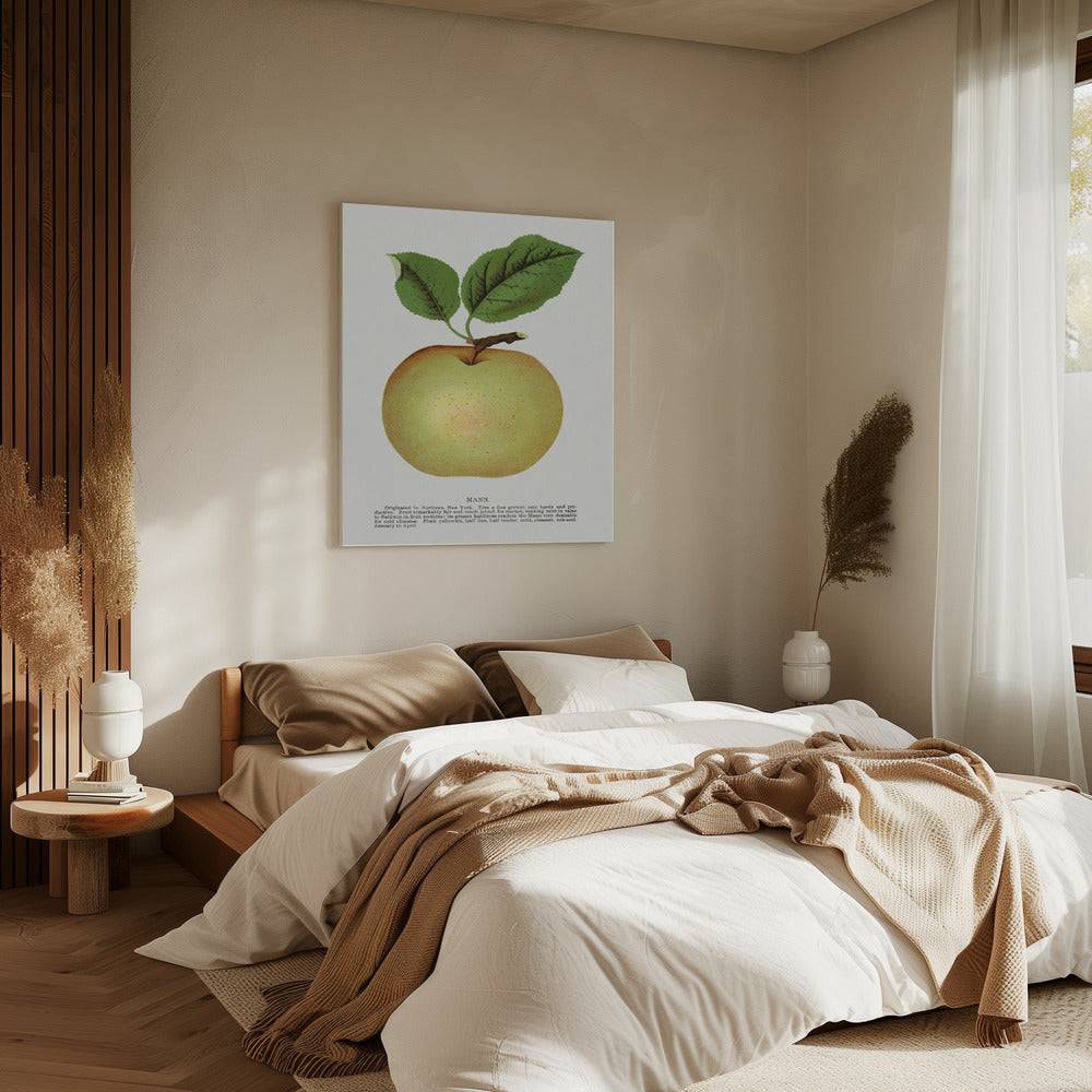 Mann Apple Lithographie | Leinwand