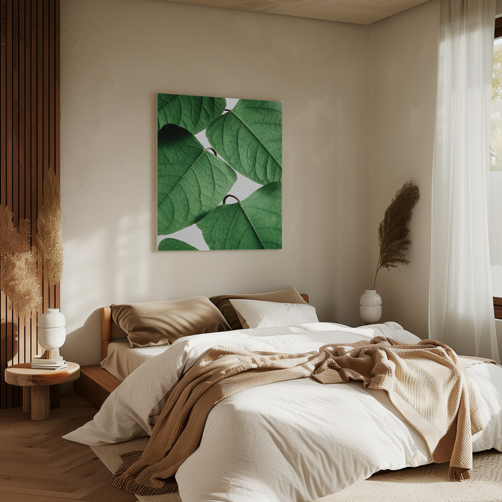 Sommerzweige | Leinwand