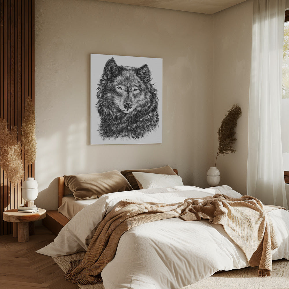 Wolf | Canvas