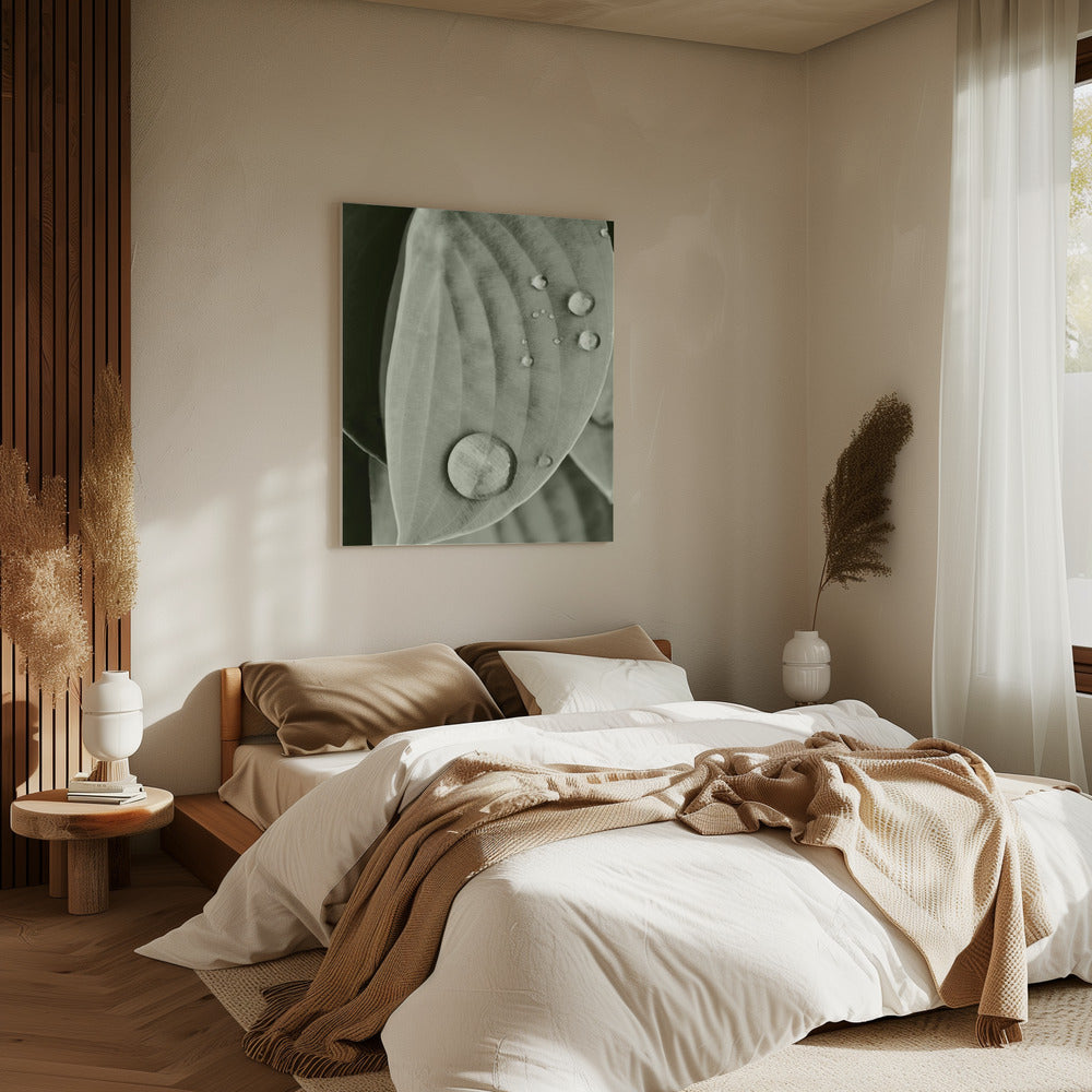 Tau auf Blatt Eleganz | Leinwand