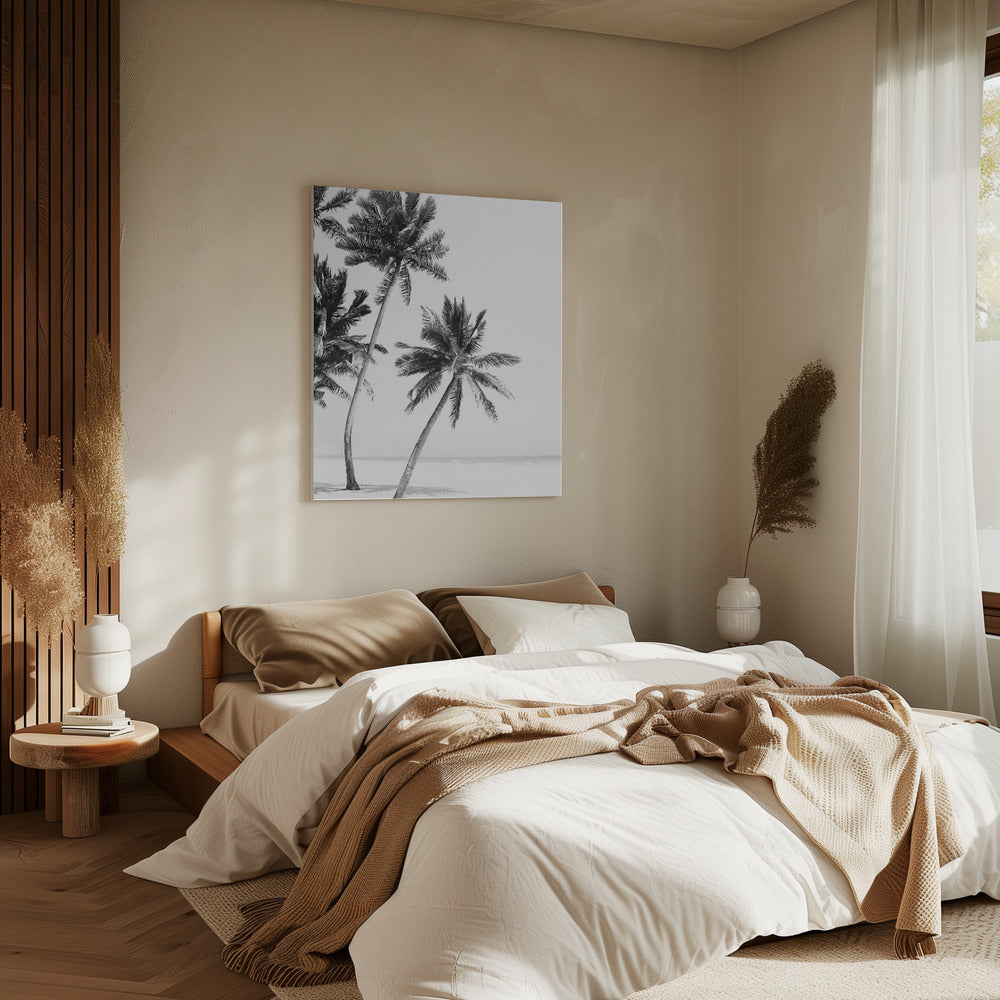 Island | Canvas