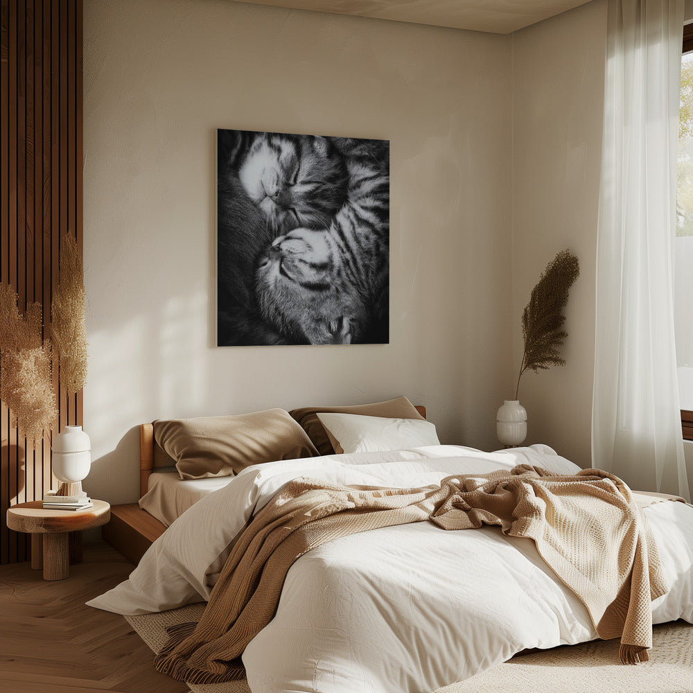 Yin und Yang | Leinwand