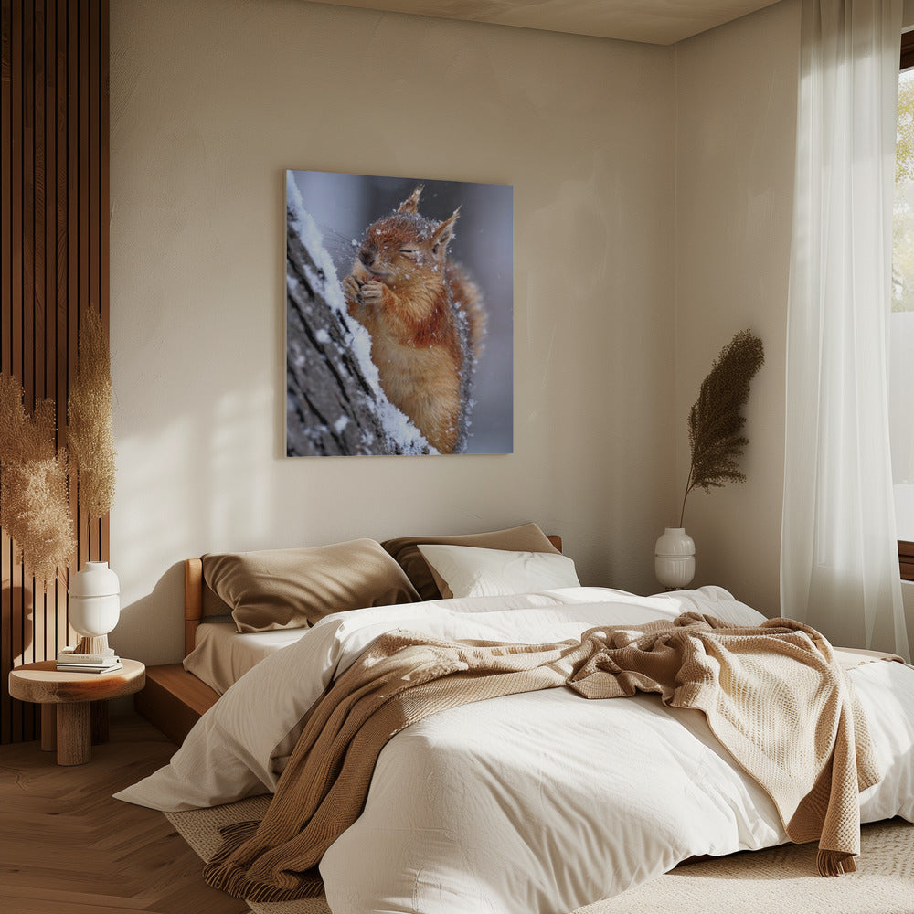 winter | Canvas