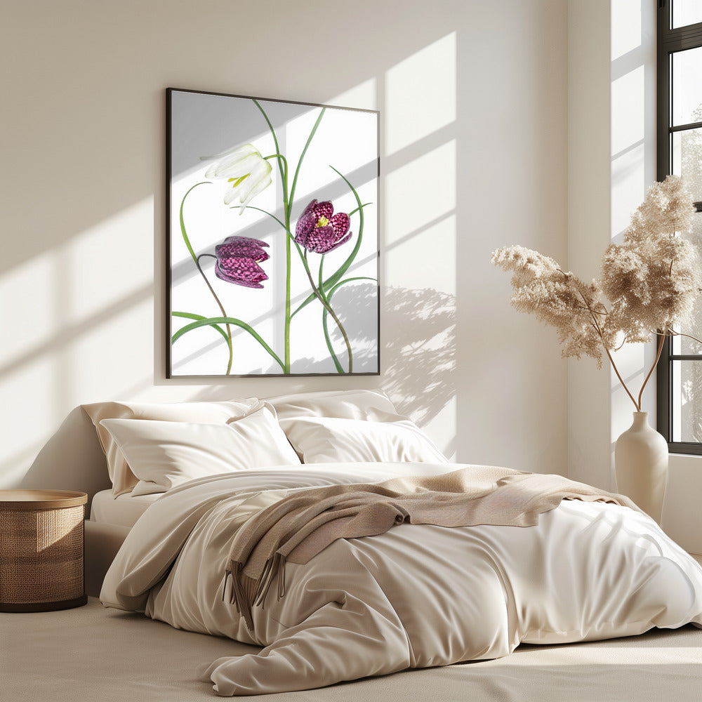 Snakes head Fritillary | Poster