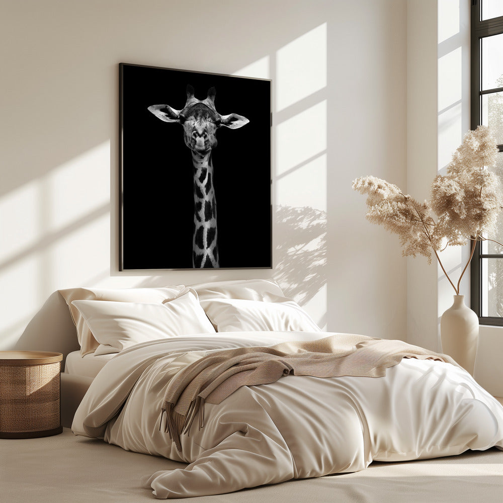 Giraffe Portrait | Poster