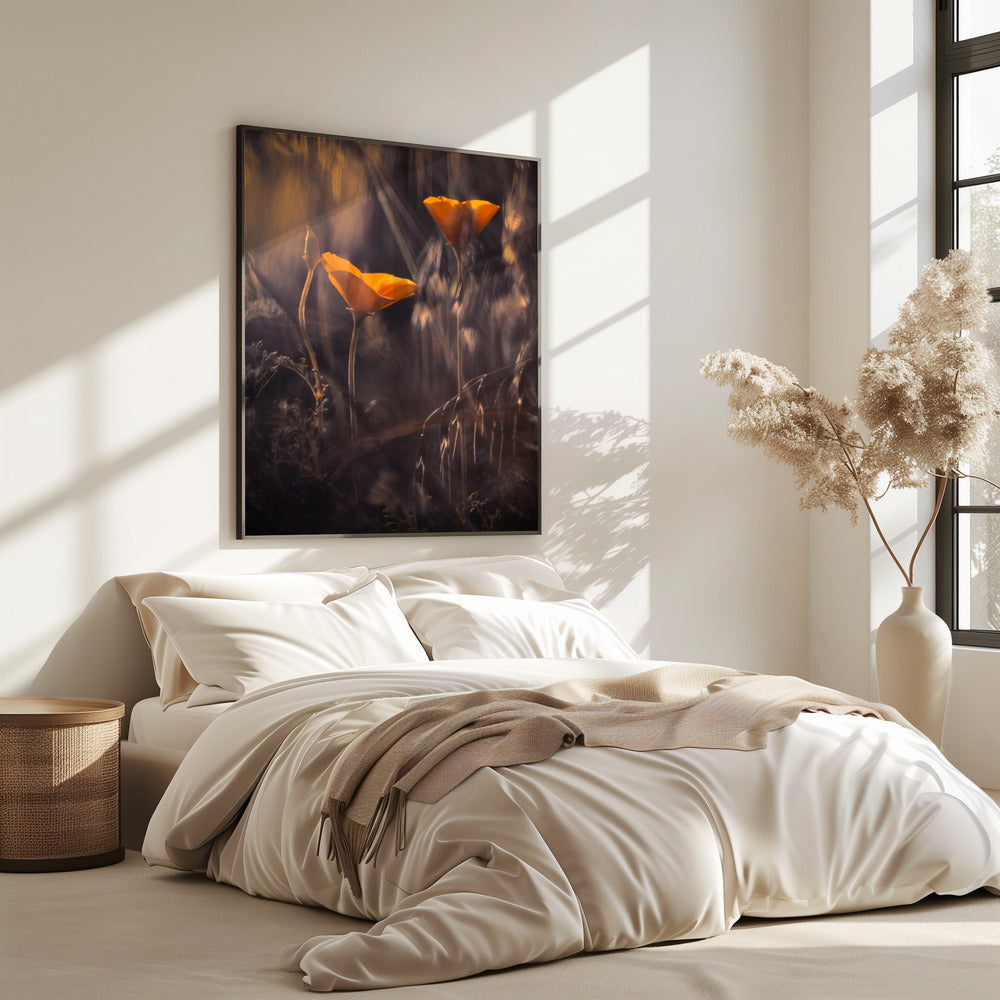 From The Enchanted Secret Garden | Poster