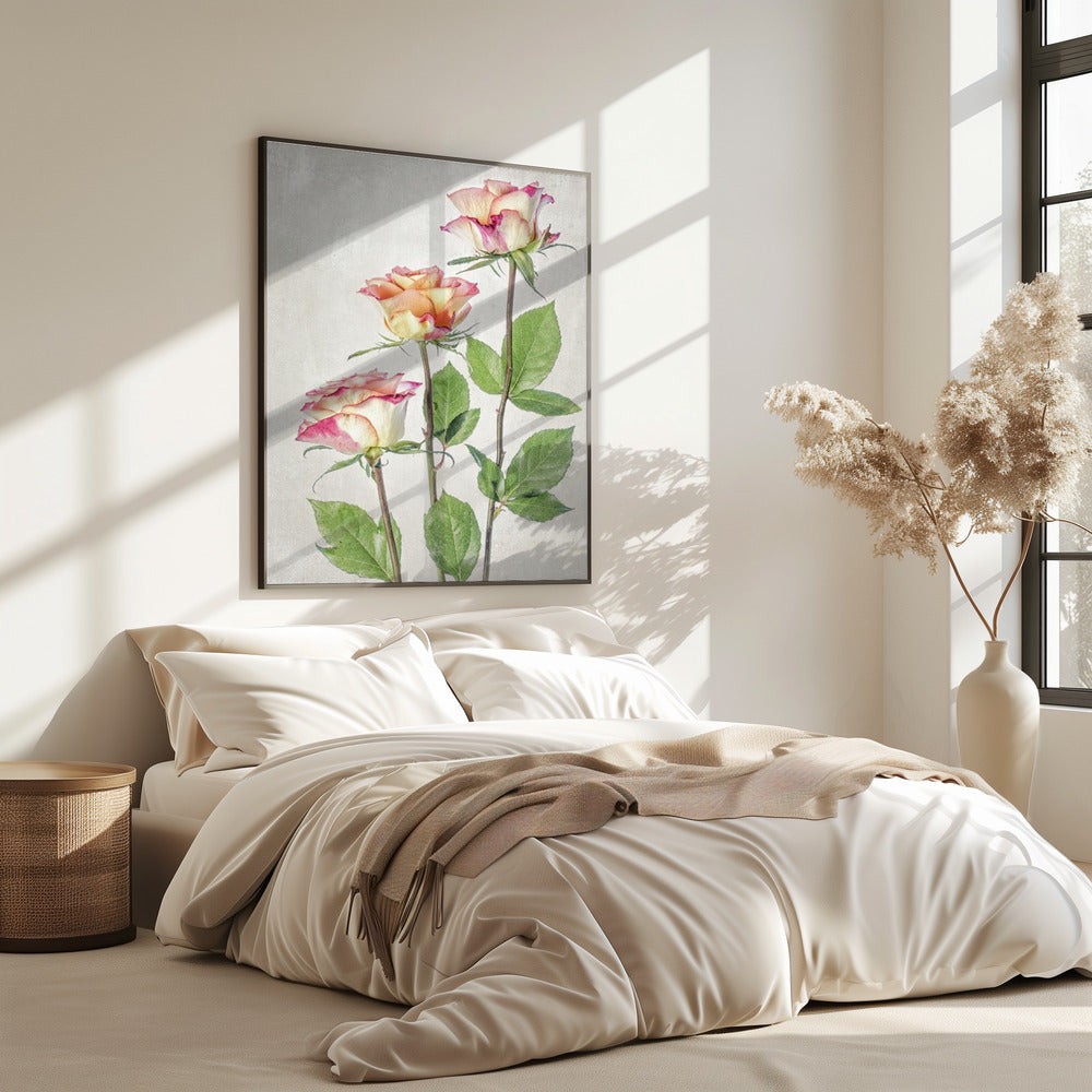 Roses | Poster