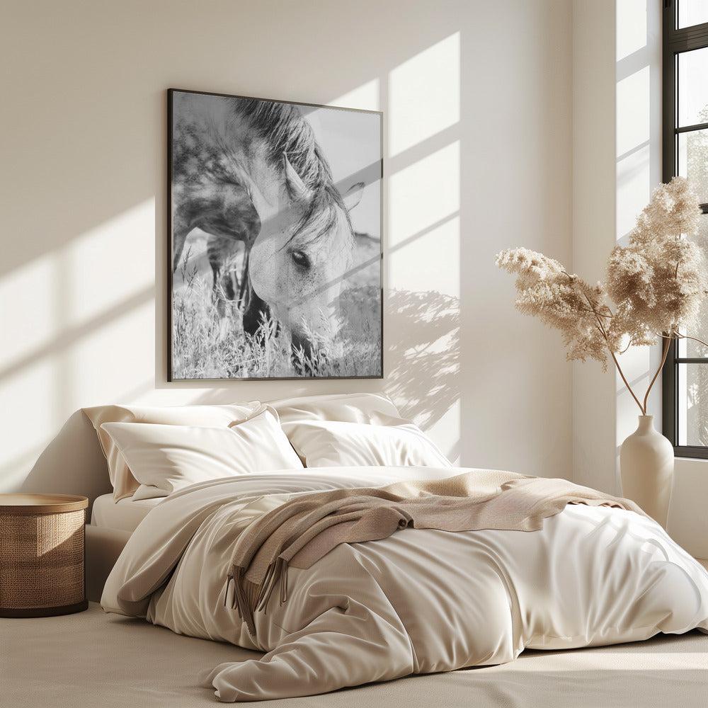 Hengst | Poster