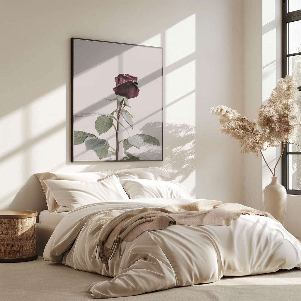 Rose | Poster