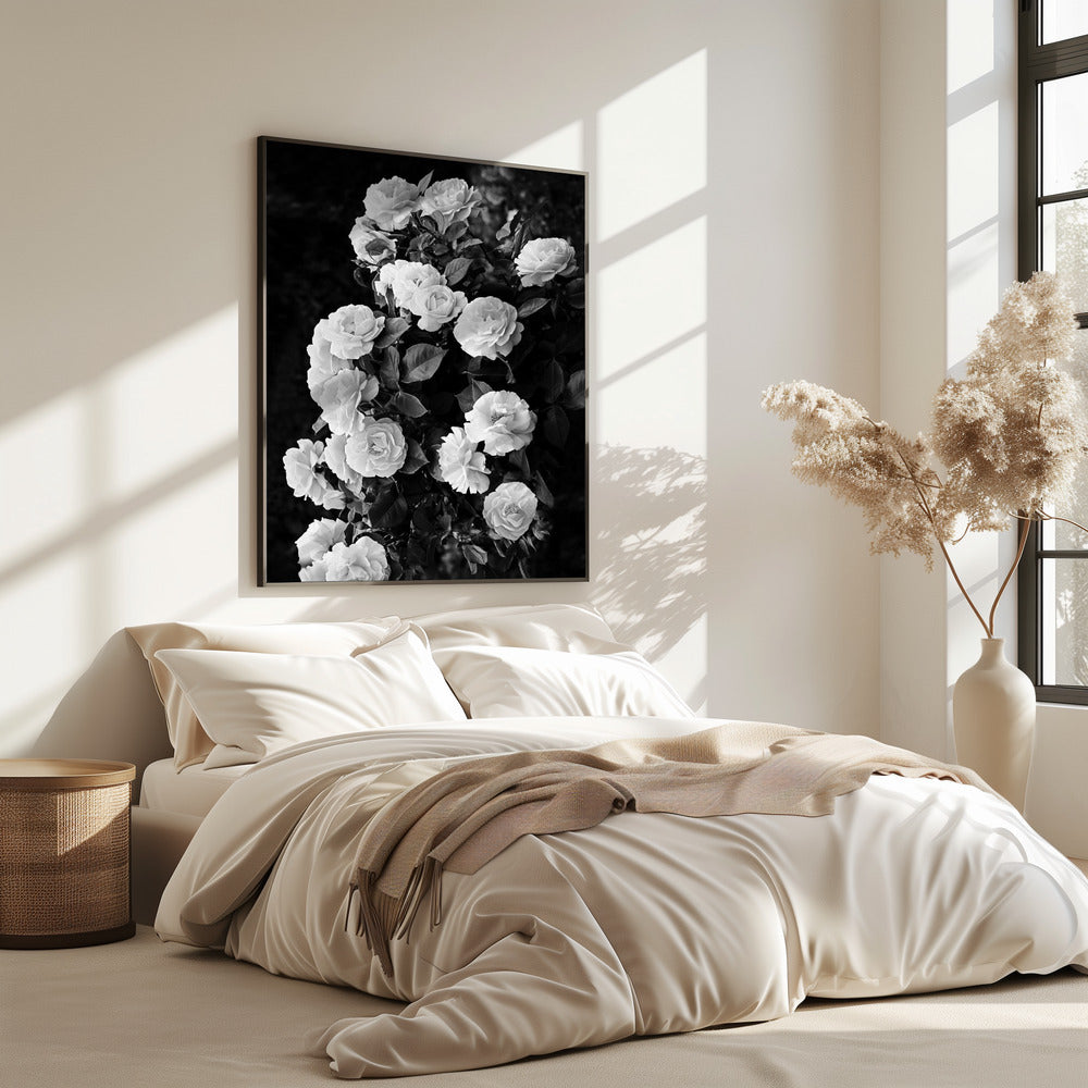 Rosenbusch | Poster