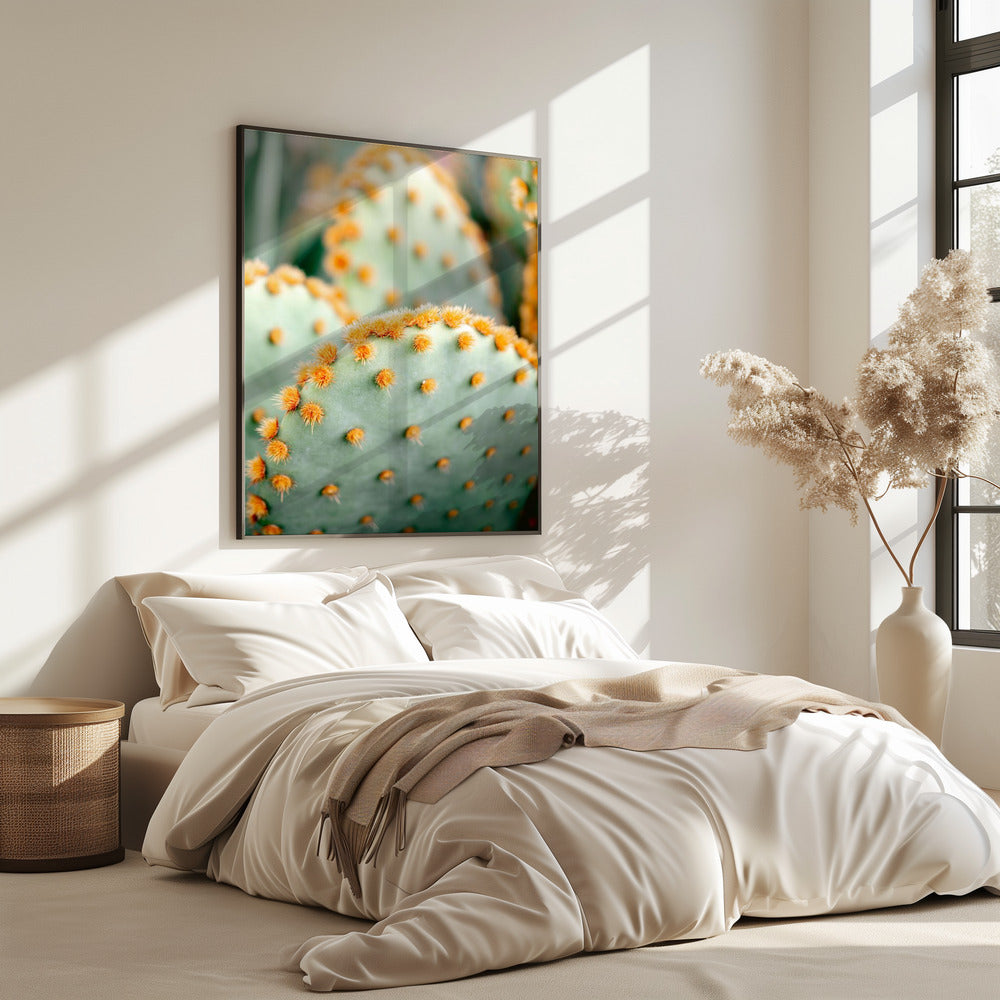 Orange und Grün II – Botanische Fotografie aus Marrakesch | Poster