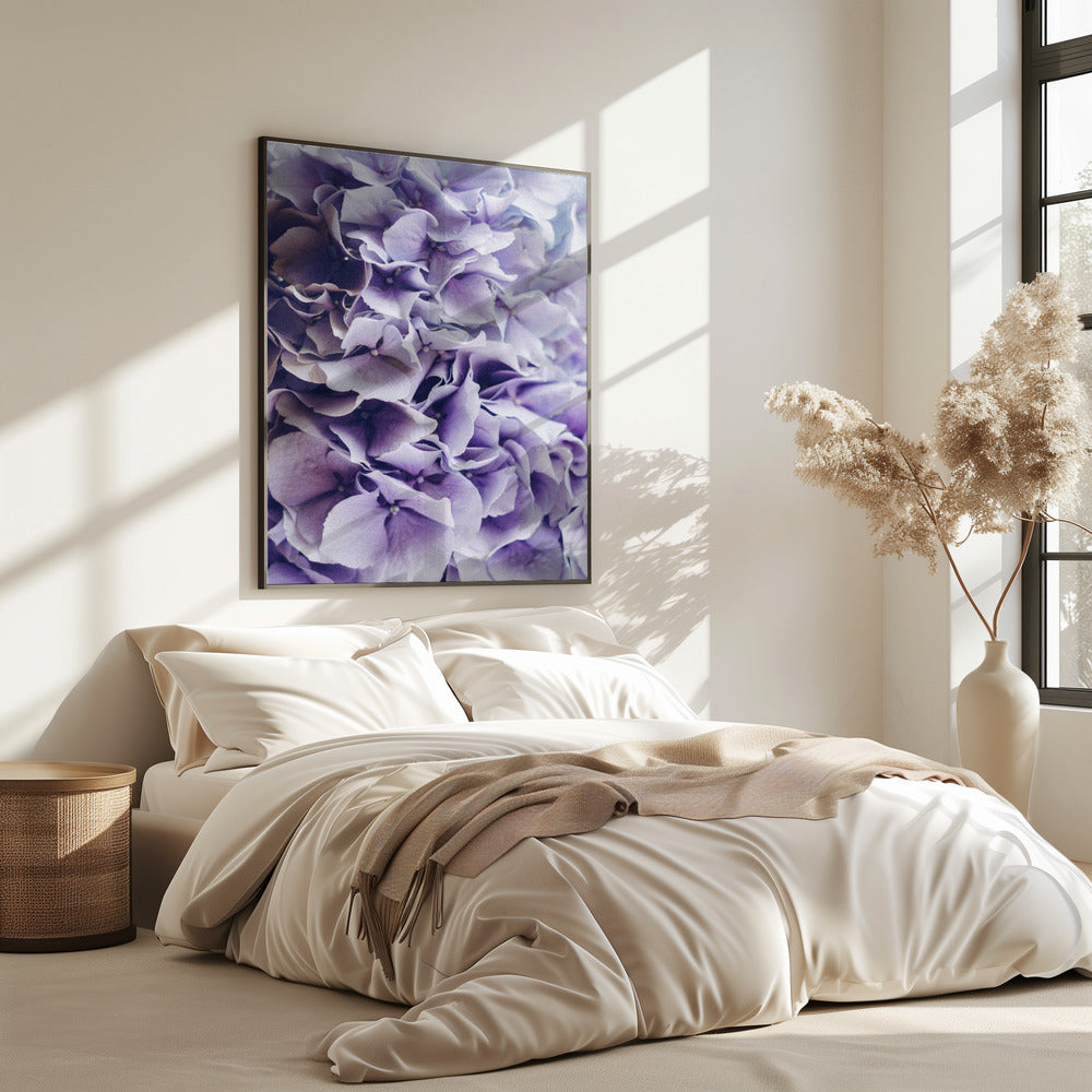 Vibrant Purple Hydrangea Flowers | Poster