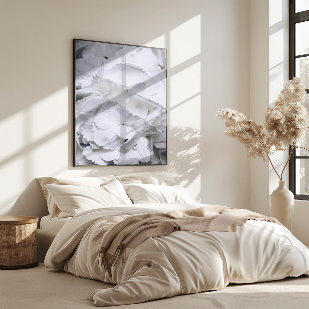 Delicate White Hydrangea Petals | Poster
