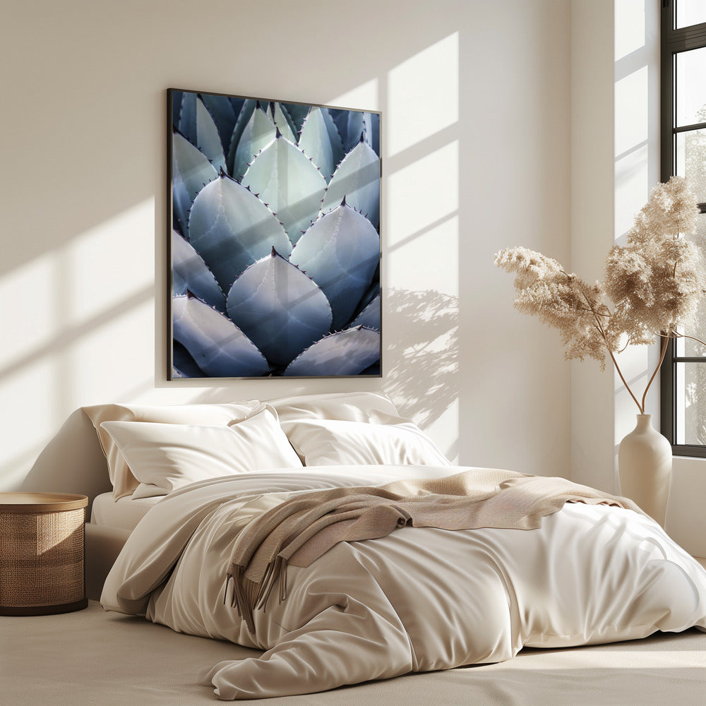 Agavengeometrie | Poster