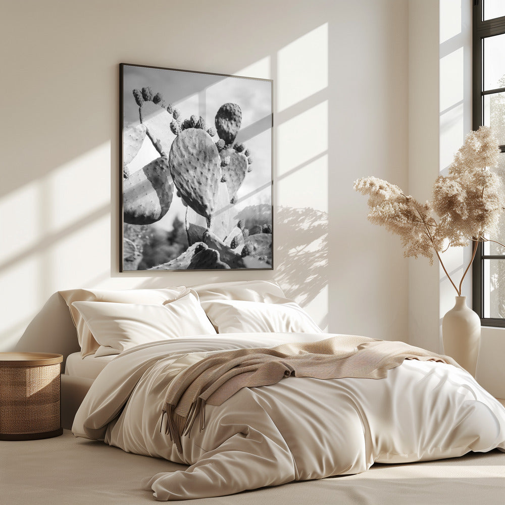 Desert Serenity | Poster