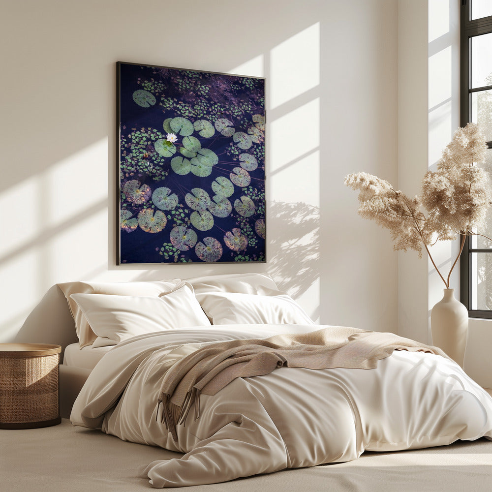 Lily Serenity | Poster