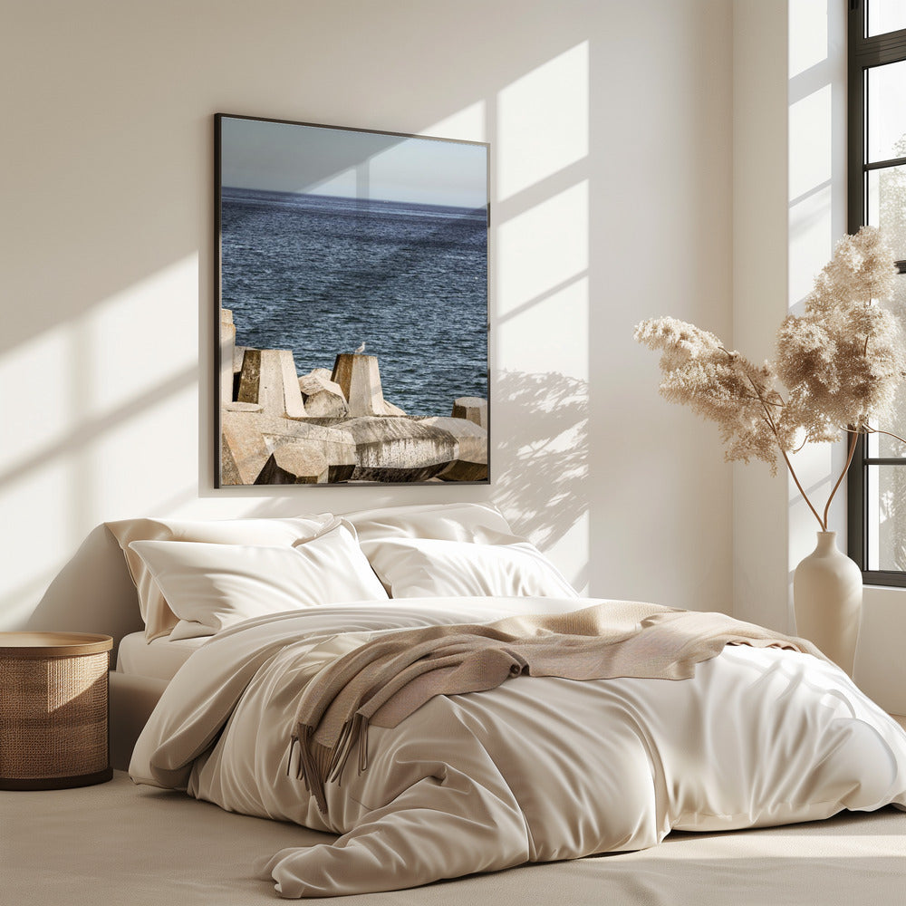 Möwe am Meer | Poster