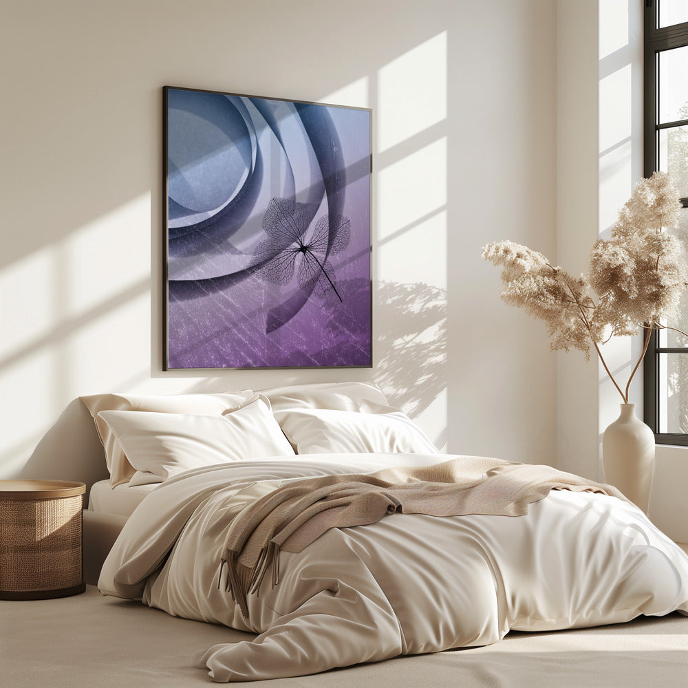Hortensie | Poster