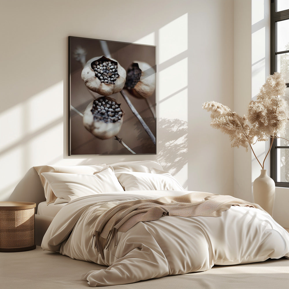 Kapseln der Natur | Poster