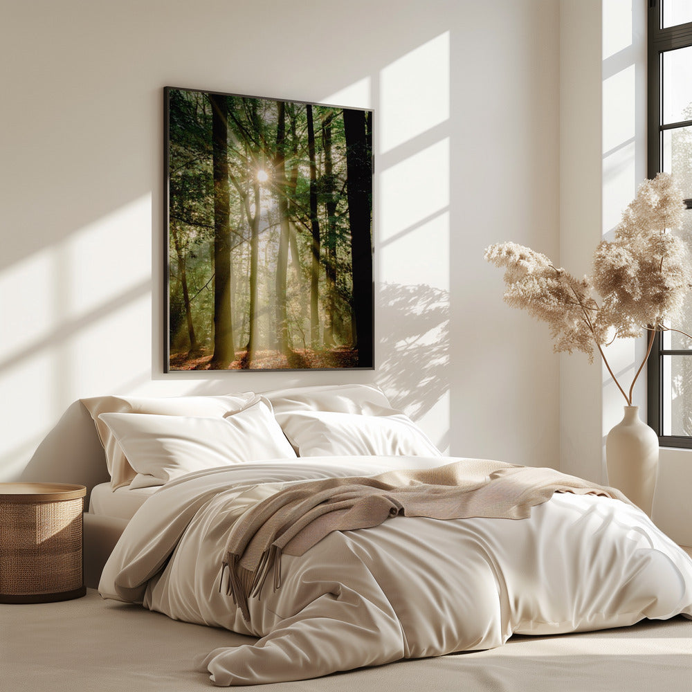 Sonnenstrahlen durch den Wald | Poster