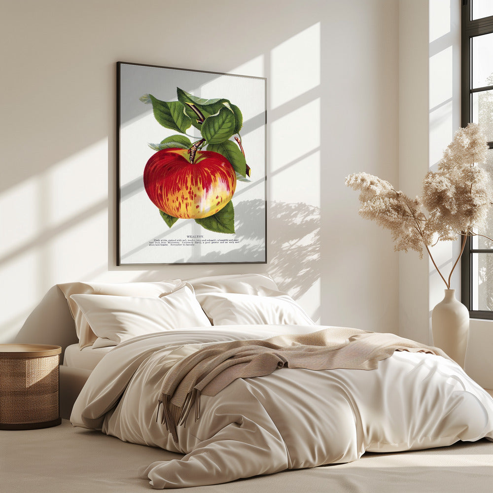 Lithografie „Wealth Apple“ | Poster