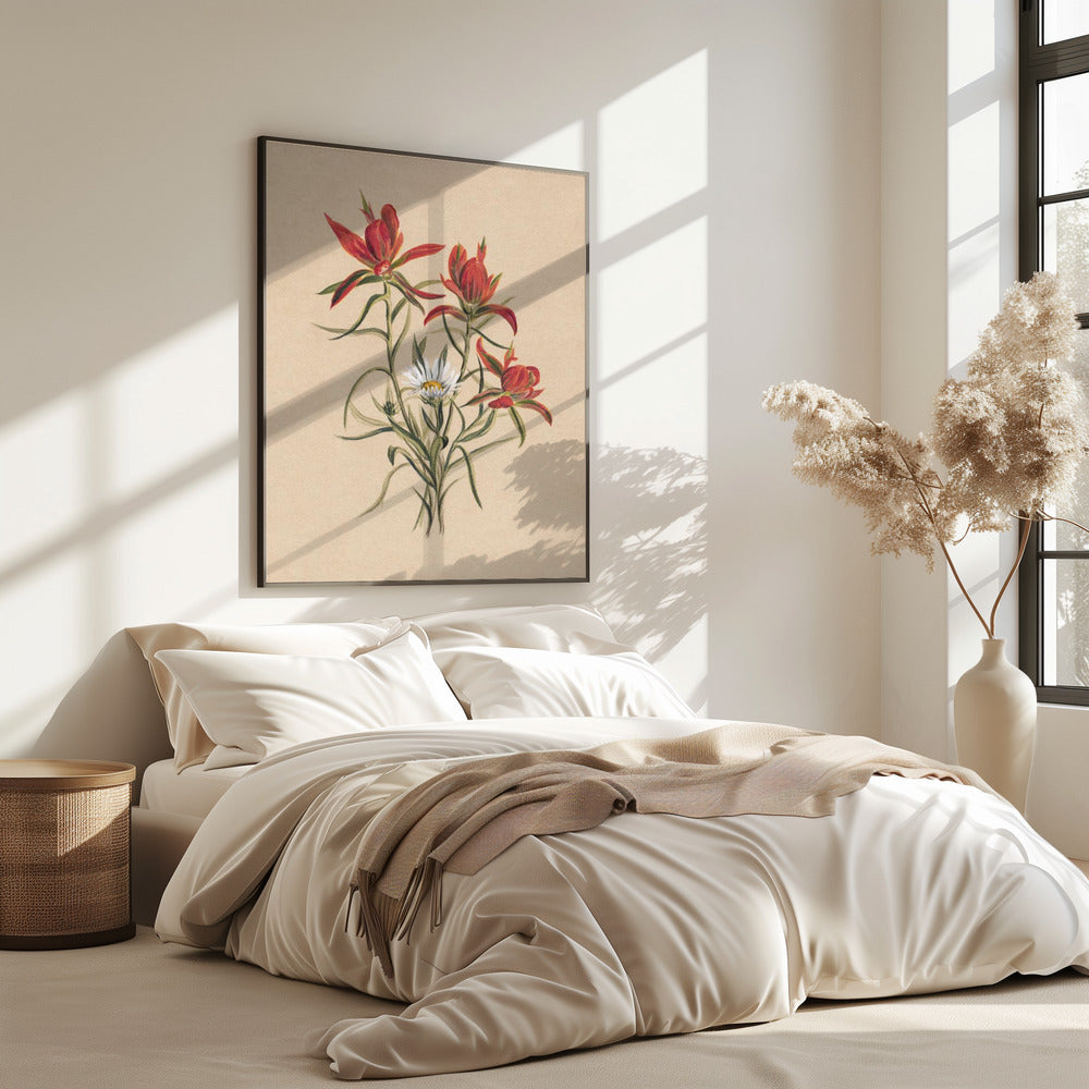 Indian Paintbrush (1883) | Poster