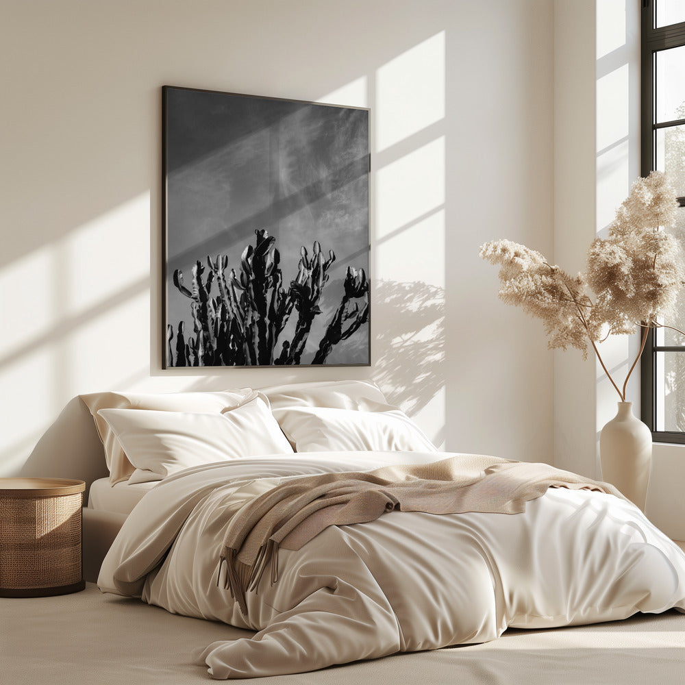 Monochrome Cactus Sky | Poster