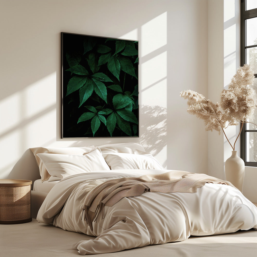 Dark Leaves 7 | Poster
