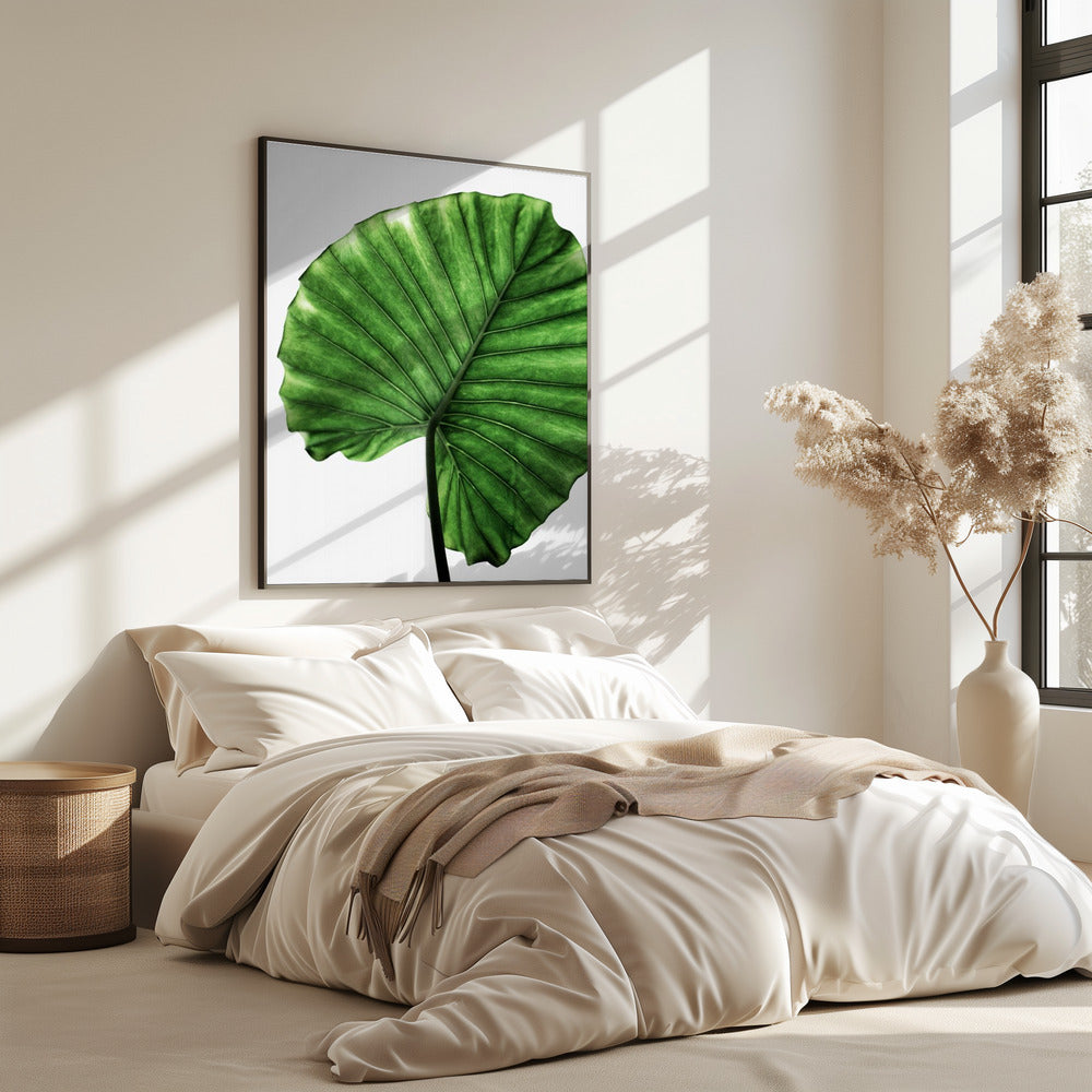 Leaves 11 | Poster
