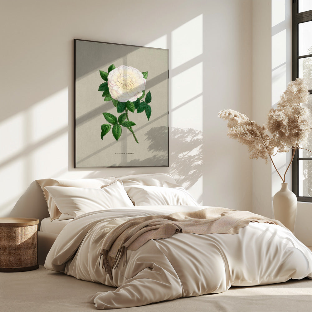Rose Marie De Saint Jean | Poster