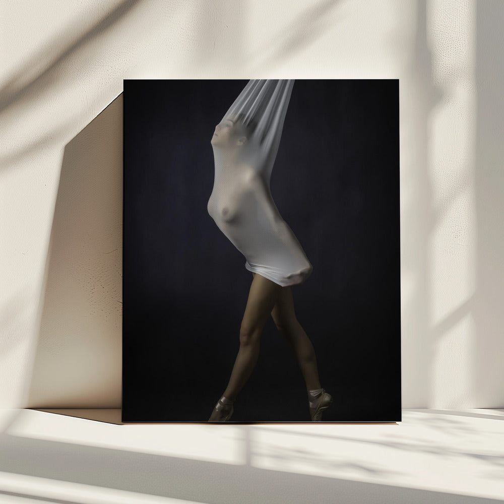 Transparenter Stretch | Leinwand