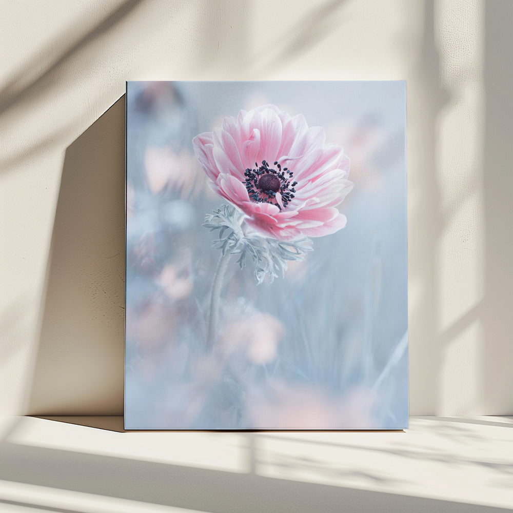 La reine de neiges | Canvas