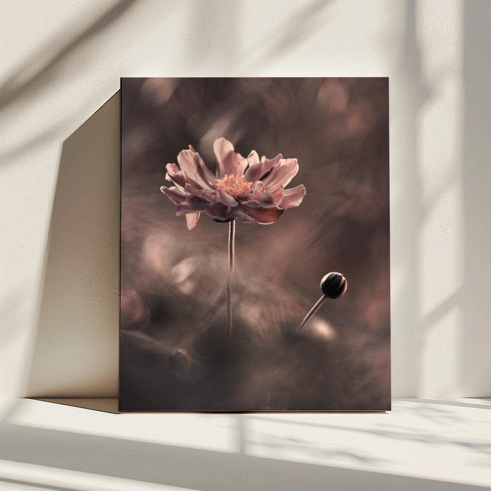 Un présent et un futur révolus. Un passé présent | Canvas