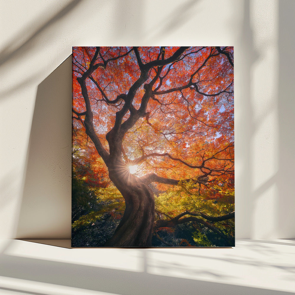 Der japanische Baum | Leinwand