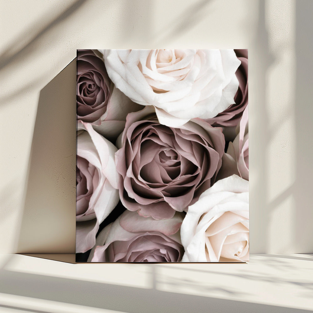 Rosen | Leinwand