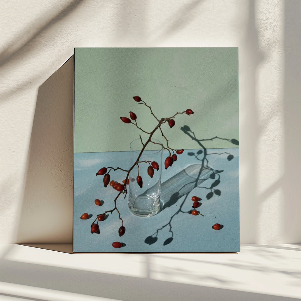 Light &amp; shadow | Canvas