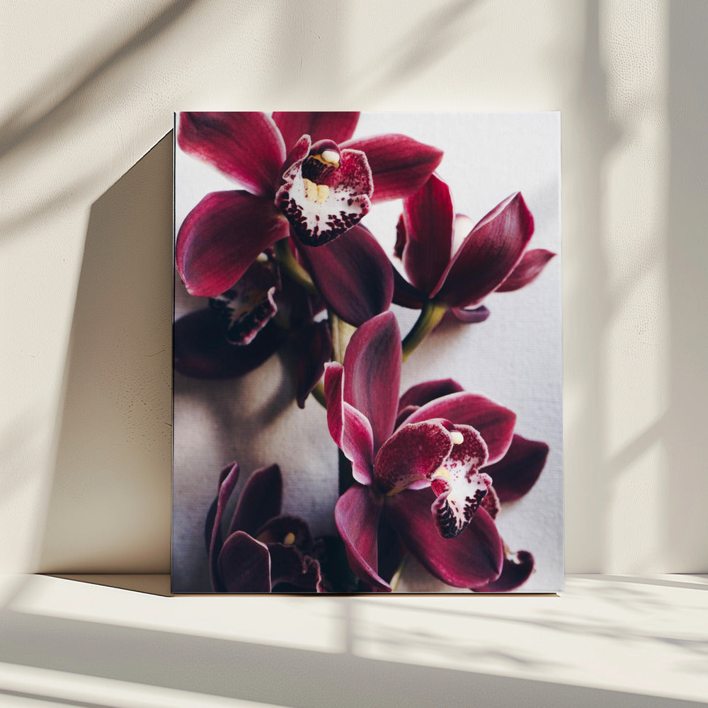 Orchid Elegance | Canvas